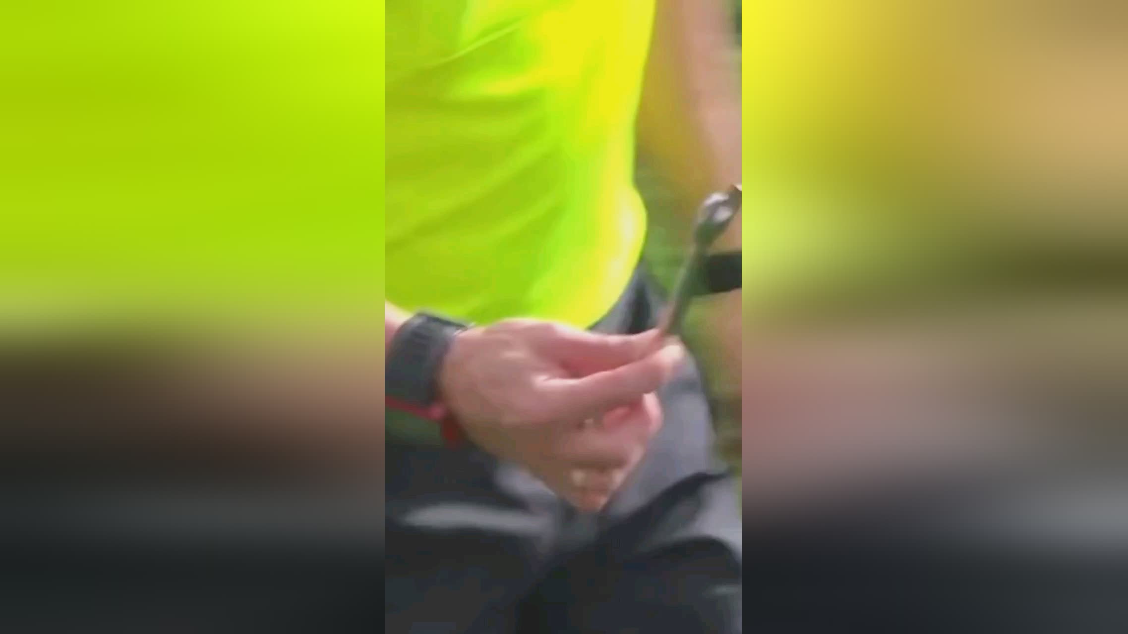 赛季有哪些